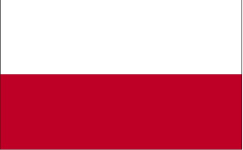 Polonya Vizesi Hakkında Genel Bilgiler